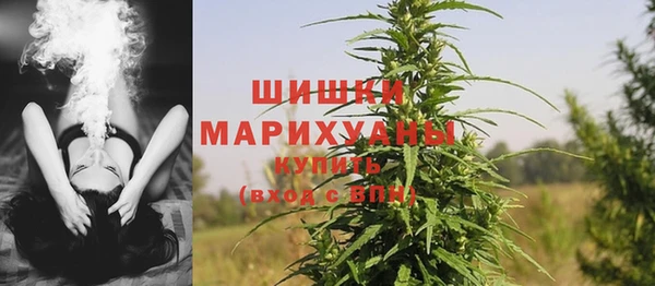 mdpv Краснослободск