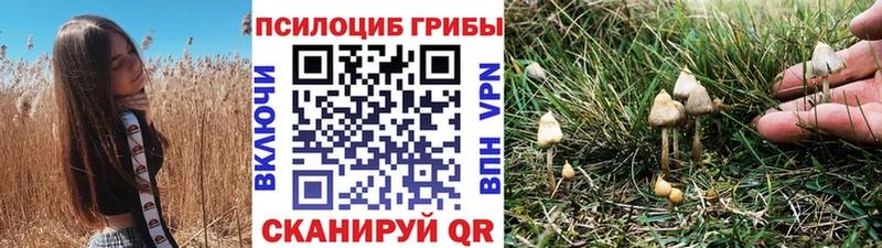 Псилоцибиновые грибы MAGIC MUSHROOMS  Купить  Эртиль 